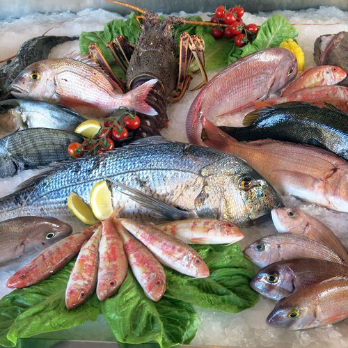 Encargos de pescado fresco en Granada