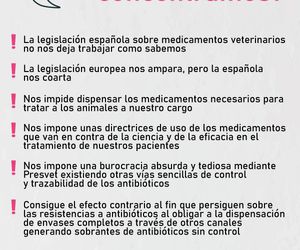 DesafÃ­os de la legislaciÃ³n espaÃ±ola en medicamentos veterinarios: impacto en la atenciÃ³n animal