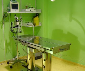 ENDOSCOPIA: Servicios de Centro Médico Veterinario Pío 109