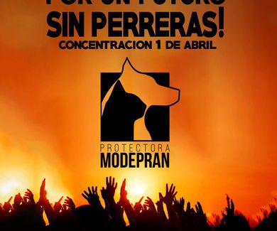 AHORA NOS NECESITAN
