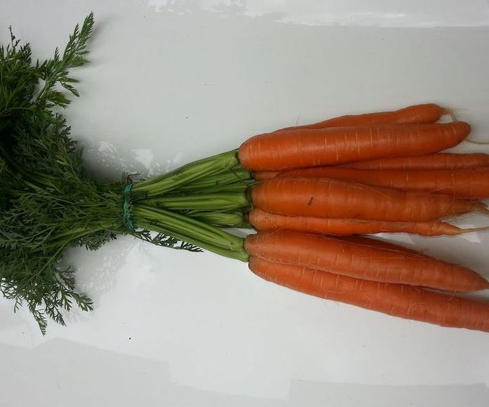 Zanahorios Manojo Flowpa: Formato Venta de Zanahorias Medrano