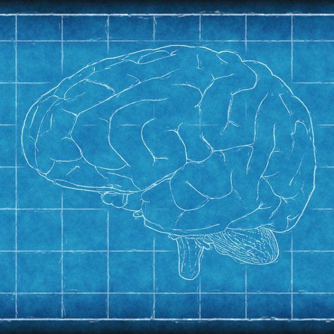 ¿Por qué es tan difícil diagnosticar algunas enfermedades del cerebro?