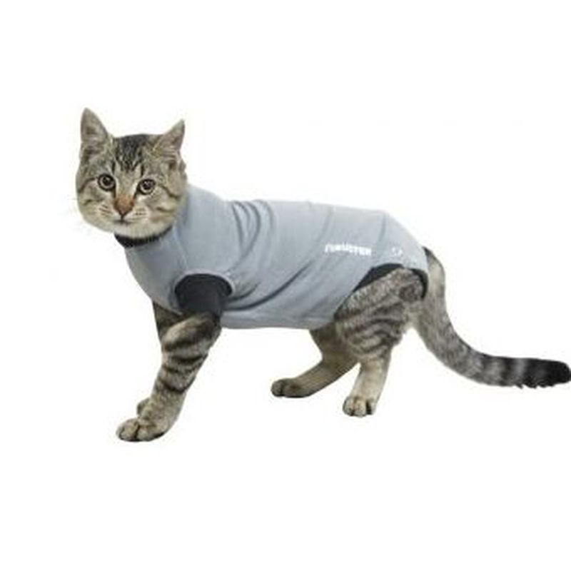 Buster Body Suit EasyGo Easy go para gatos comprar en Madrid veterinario veterinaria