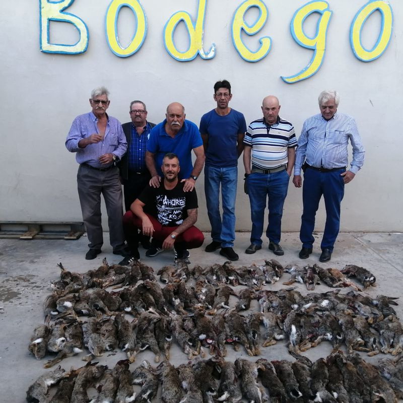 Cotos de caza de Perdiz: Servicios de Hostal Rural Restaurante El Bodegón
