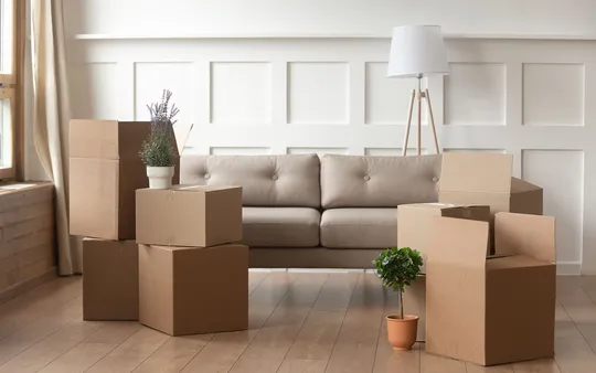 Imagen 3 de la galería