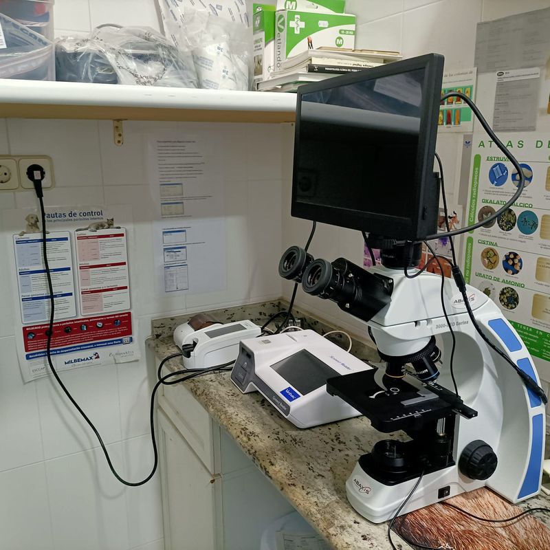 Laboratorio propio: Servicios de Clínica principal Veterinaria Puerto Mazarrón
