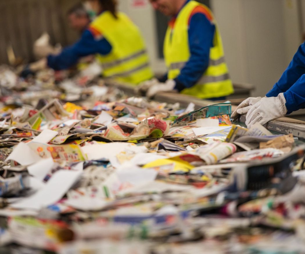Residuos y tipos: ¿por qué reciclar?