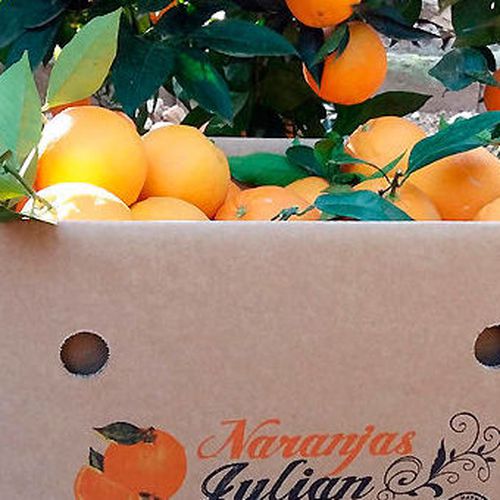comprar naranjas valencianas por internet