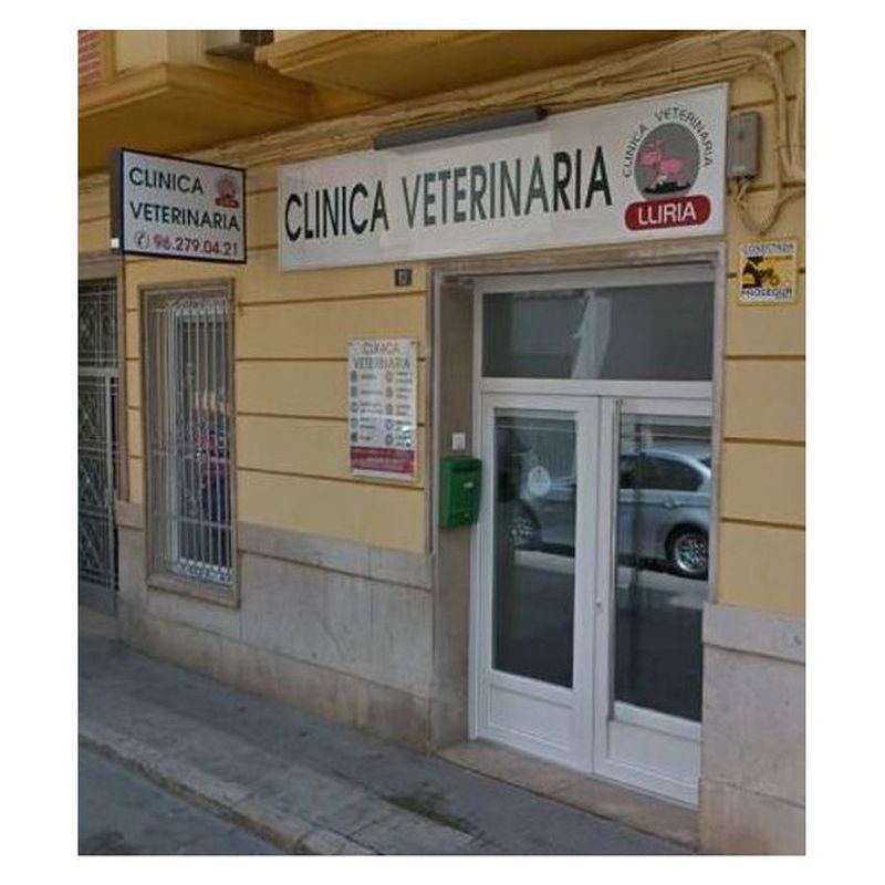 Laboratorio propio de análisis clínicos: Servicios de Clínica Veterinaria Llíria