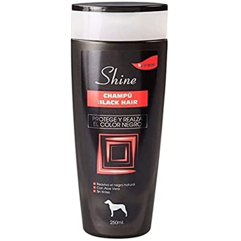 Champú Shine Black Hair: Nuestros productos de Pienso Express