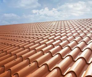 Nuevas aportaciones para la reparación de tu tejado