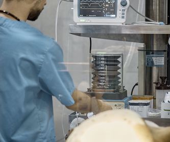 Diagnóstico: aparatología de última generación: Servicios de Veterinario Alcorcón