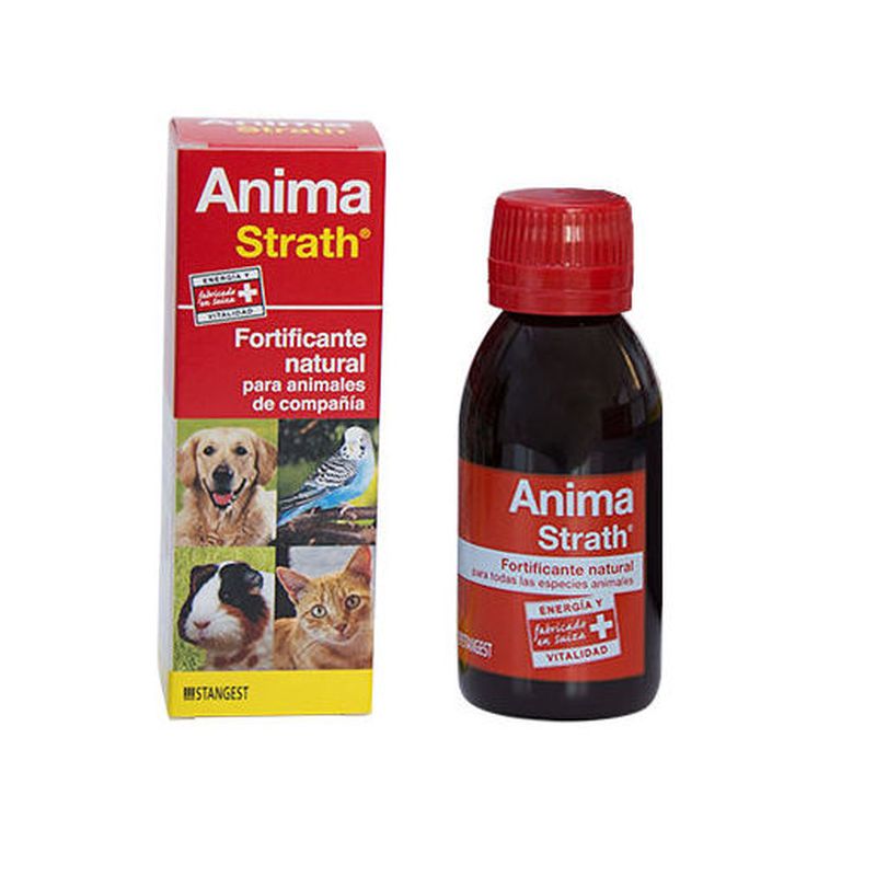 Anima strah fortificante natural Stangest Pienso Express 
