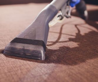 Limpieza de alfombras: Products de Maxlimpioasturias