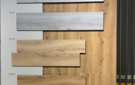 Imagen 7 de la galería