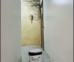 Proyecto pintura