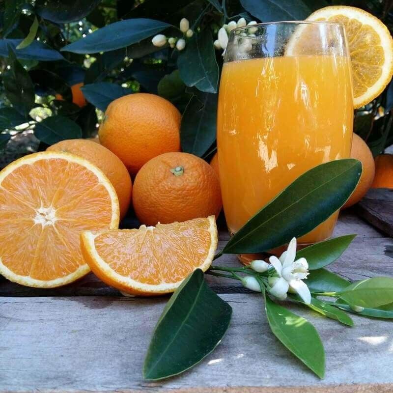 Naranjas zumo mediano 10 kg: Productos de Naranjas Julián