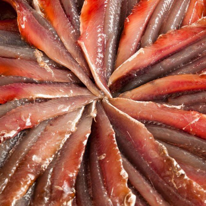 ¿Por qué las anchoas del Cantábrico son las mejores del mundo?