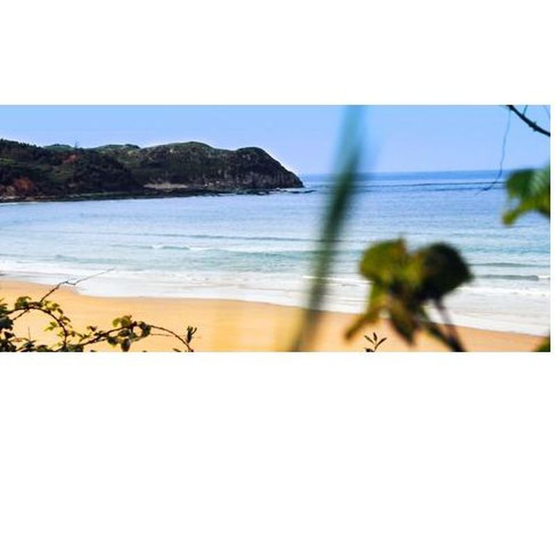 Actividades: Servicios  de Camping La Playa