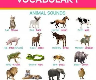 Vocabulary: animal sounds