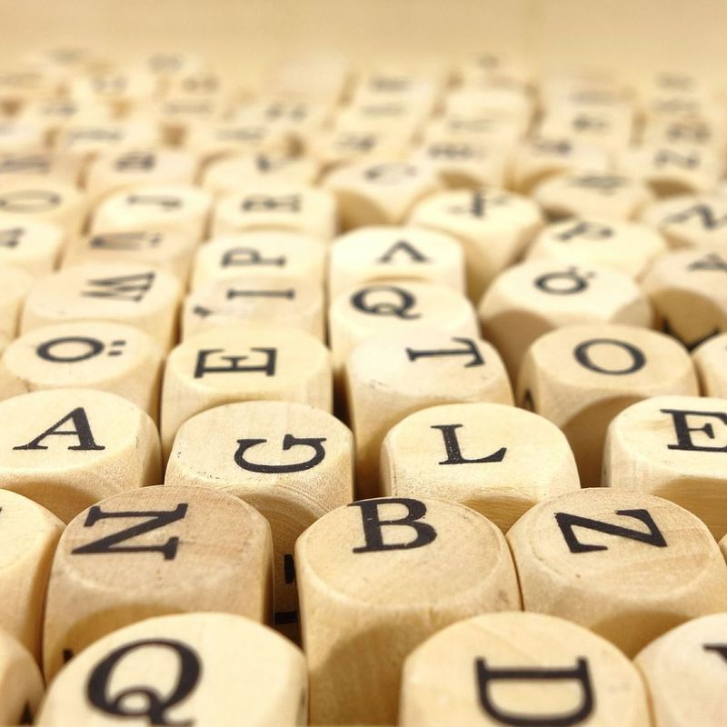 Logopedia: Qué Ofrecemos de Animus Manresa
