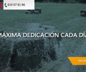 Transporte de mercancías en La Cartuja de Monegros | Transportes Fernando Almerge