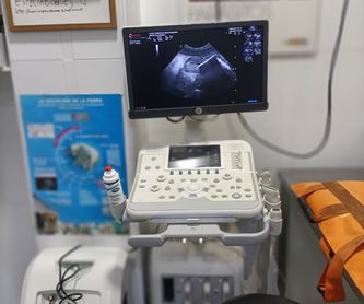 Radiología digital: Servicios de Clínica principal Veterinaria Puerto Mazarrón