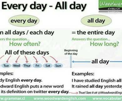 Diferencia entre Everyday y All day
