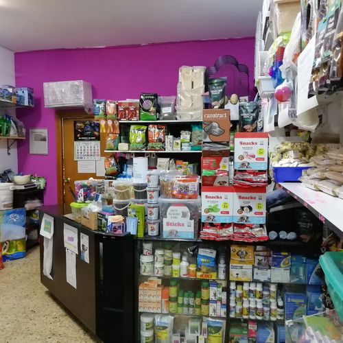 Diferentes tipos de alimentos según al edad
