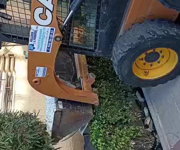 Poda en altura en Murcia | Mantenimiento Aspi
