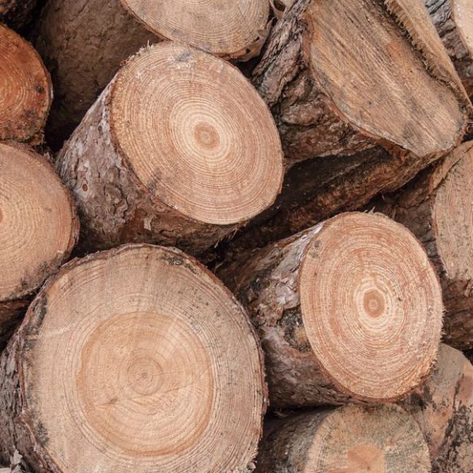 Las ventajas de usar maderas de castaño