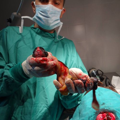 Hospital Veterinari Sant Antoni Abat en Mollet del Valles 