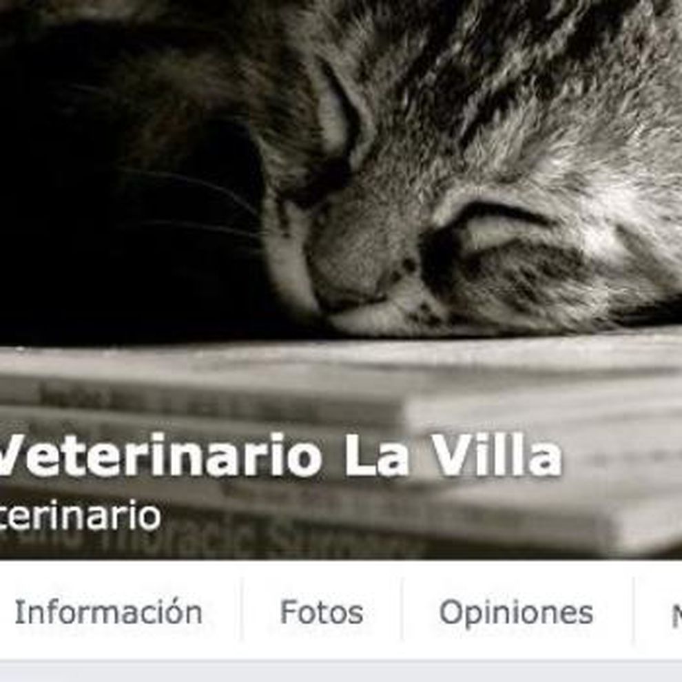 (c) Centro-veterinario-aviles.es