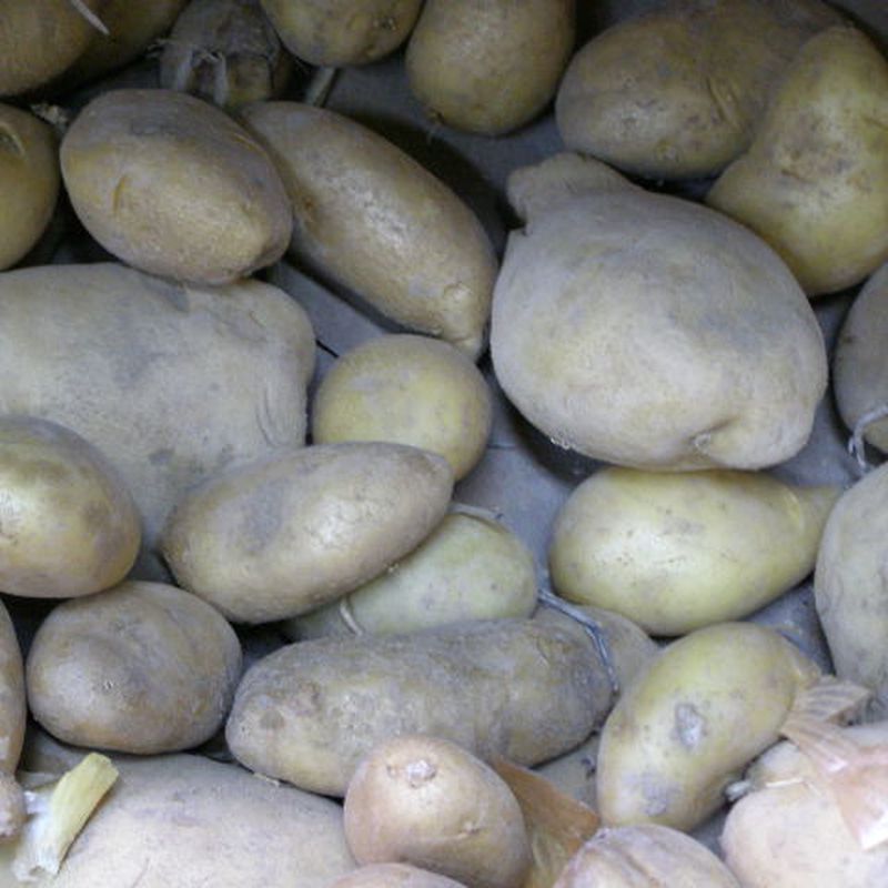Patatas de    Cubillas de Santa Marta    Valladolid