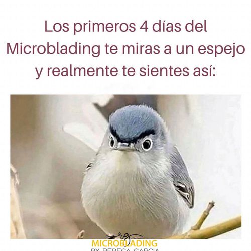 Microblading de cejas Valencia | Microblading Rebeca García