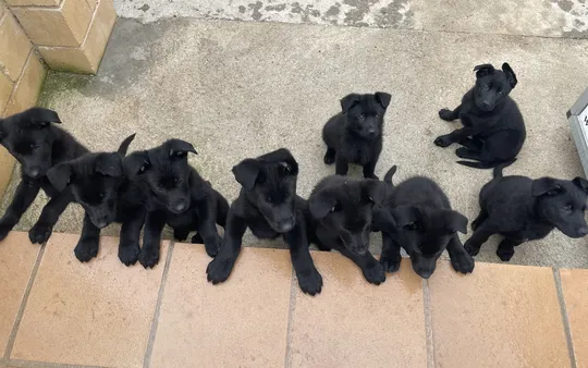 Imagen 1 de la galería