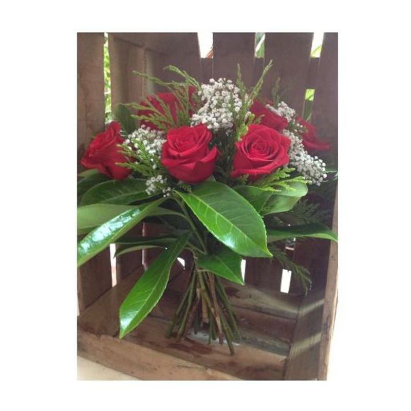 Bouquet de rosas: Catálogo de Flores Maranta