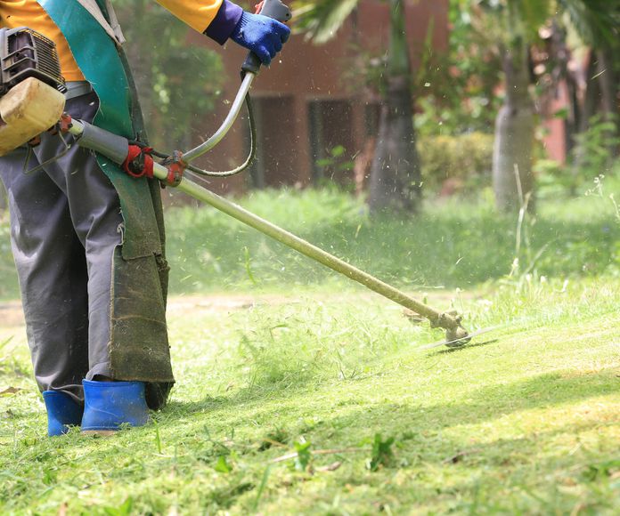 Limpieza de jardines : Servicios  de Jardinería Algarrada