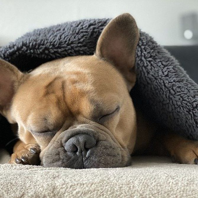 Cómo dormir a pierna suelta cuando hace frío en la casa