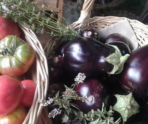 huerta 2017