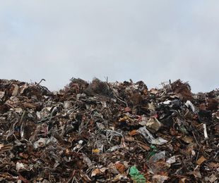 ¿Qué residuos son los que más contaminan?