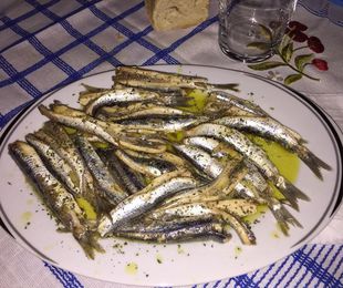 Anchoas del Cantábrico