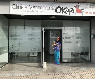 NUEVO HORARIO