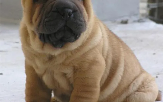 Imagen 5 de la galería