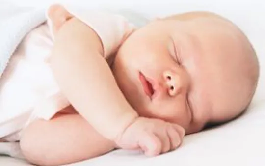 Imagen 4 de la galería