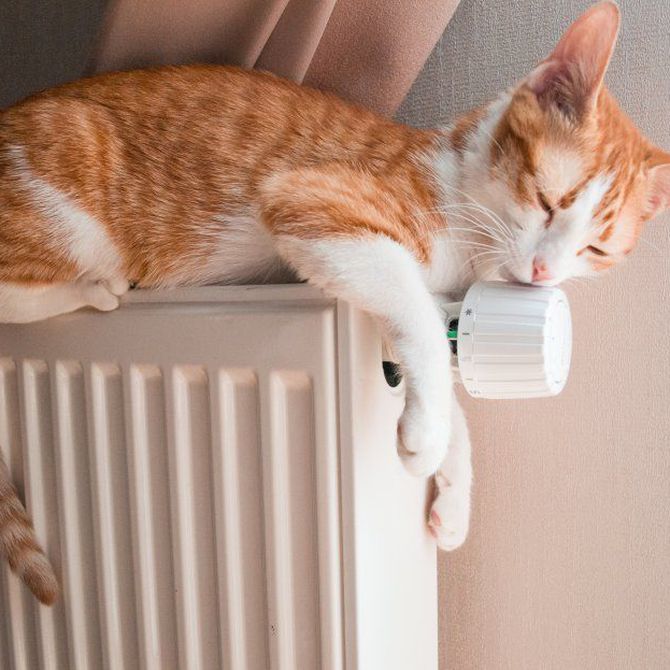 Calefacciones eficientes gracias a los radiadores