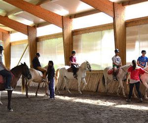 Clases de equitación en el Club Hípico Arbayún
