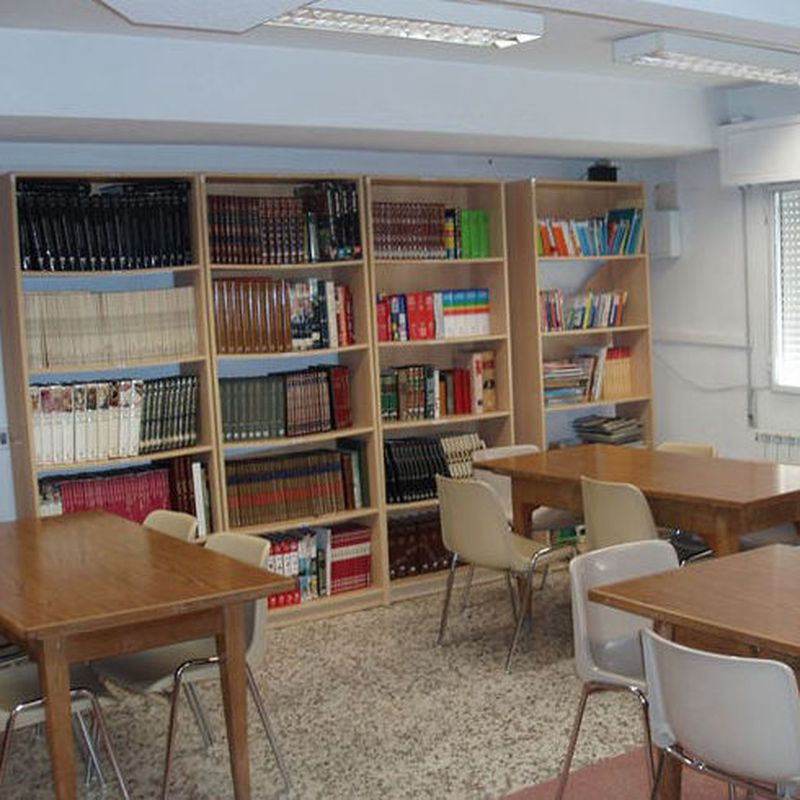 Orientación Psicopedagógica: Servicios de Colegio Salesiano Ciudad de los Muchachos