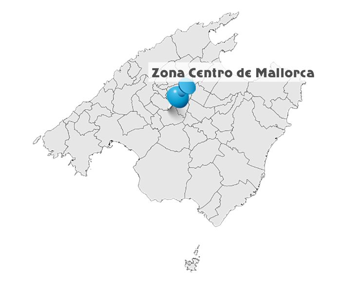 Zona Centro de Mallorca: Servicios de Transportes Reynés