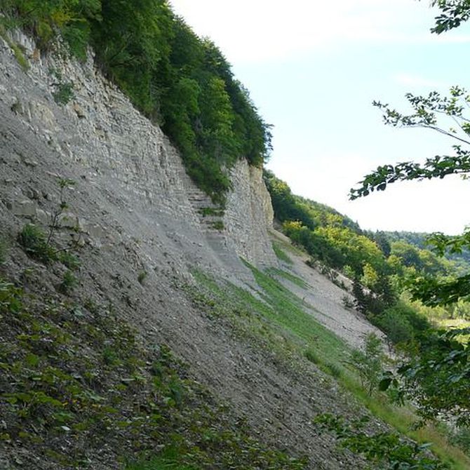 ¿Qué es y en qué se diferencian la geolocalización y georreferenciación?
